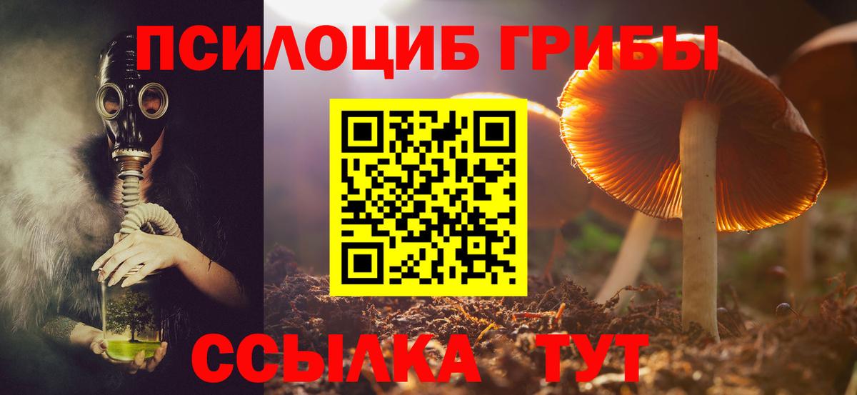 Галлюциногенные грибы мухоморы Лесозаводск